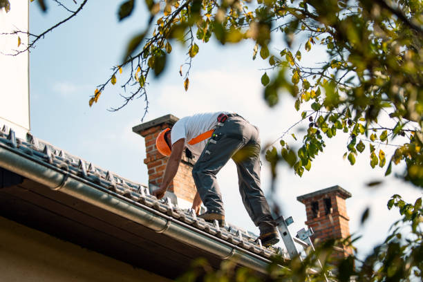 Best Roof Leak Repair  in Wurtland, KY