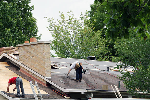 Best Shingle Roofing Installation  in Wurtland, KY