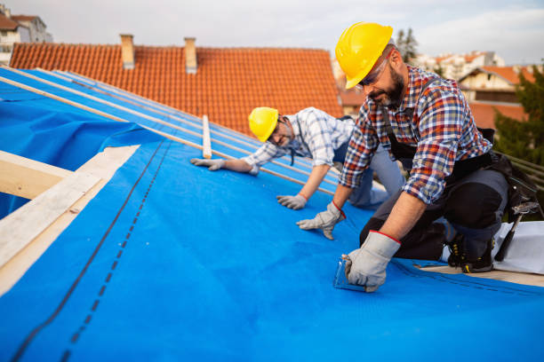 Best Residential Roofing Contractor  in Wurtland, KY