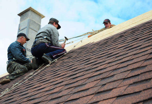 Best Roof Waterproofing Services  in Wurtland, KY